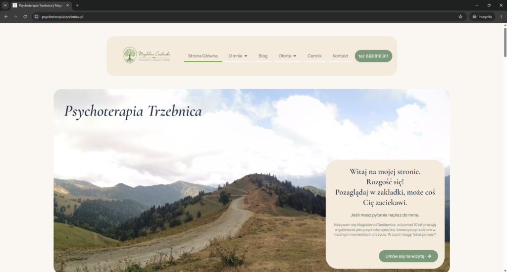 Agencja Marketingu Internetowego - case study